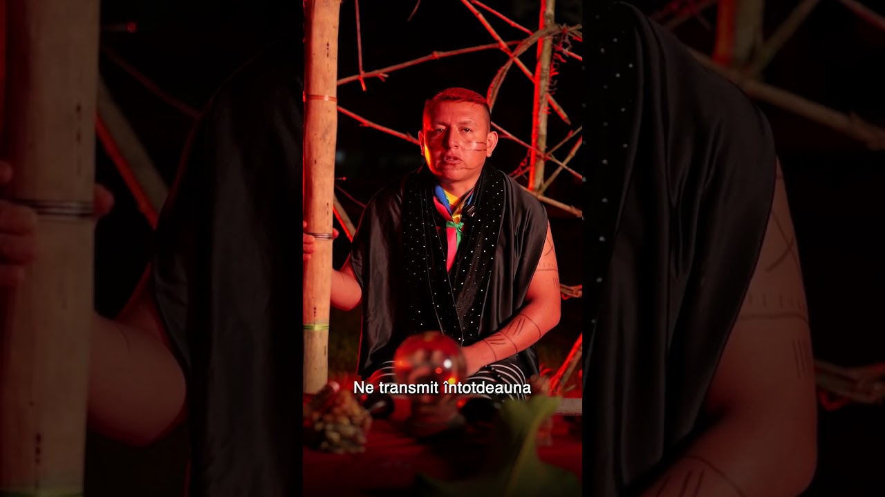Dincolo de granițe, conexiunea umană rămâne aceeași: perspectiva șamanului din Ecuador despre cei care ajung în inima junglei și descoperă cum se reflectă două lumi diferite în căutarea aceleiași stări de echilibru.
